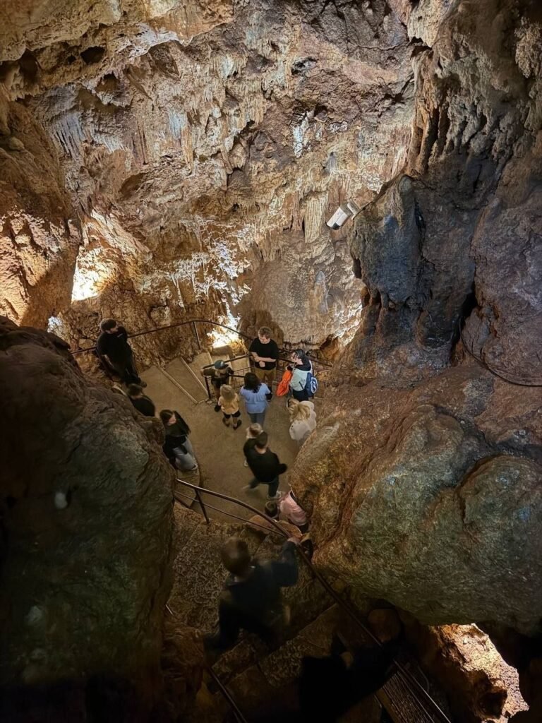 The Exploring Families