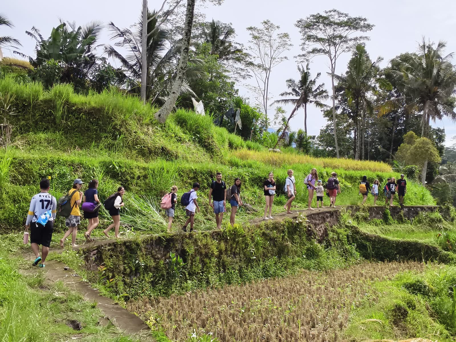 Future Human School Bali